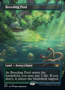 Breeding Pool Unfinity - Bordless